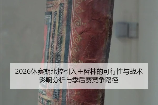 xiu-sai-qi-bei-kong-yin-ru-wang-zhe-lin-de-ke-xing-xing-yu-zhan-shu-ying-xiang-fen-xi-yu-ji-hou-sai-jing-zheng-lu-jing-3-558.jpg