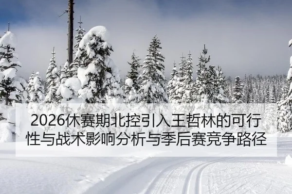 2026休赛期北控引入王哲林的可行性与战术影响分析与季后赛竞争路径