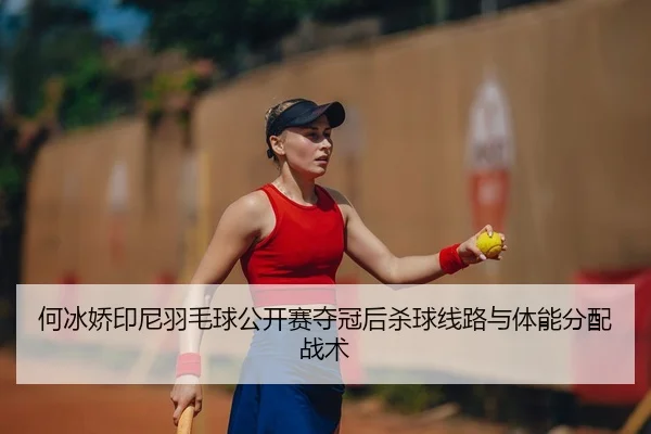 he-bing-jiao-yin-ni-yu-mao-qiu-gong-kai-sai-duo-guan-hou-sha-qiu-xian-lu-yu-ti-neng-fen-pei-zhan-shu-2-485.jpg